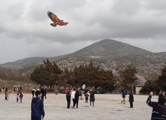 Την Καθαρά Δευτέρα: Οι δημότες Καβάλας γιόρτασαν στην Καλαμίτσα και τους Φιλίππους