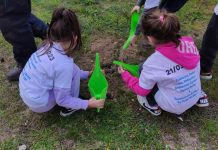 Έγινε δενδροφύτευση στο δασύλλιο Πρίνου από μαθητές του δημοτικού σχολείου