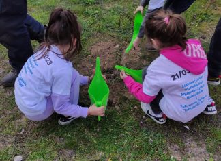 Έγινε δενδροφύτευση στο δασύλλιο Πρίνου από μαθητές του δημοτικού σχολείου