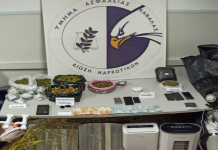 Επιτυχία της Ασφάλειας Καβάλας: Εξάρθρωσε ομάδα που καλλιεργούσε και διακινούσε ναρκωτικές ουσίες