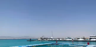 Beach water polo στο λιμάνι της Καβάλας!