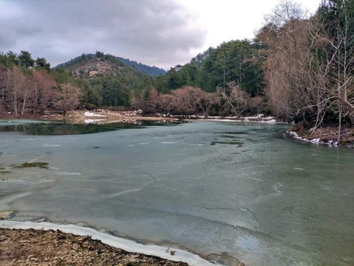 thasos-maries-fragma