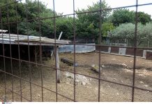 Ηλικιωμένη γυναίκα βρέθηκε νεκρή κοντά σε ποιμνιοστάσιο στο Ποδοχώρι, άγνωστη είναι η αιτία που προκάλεσε τον θάνατο