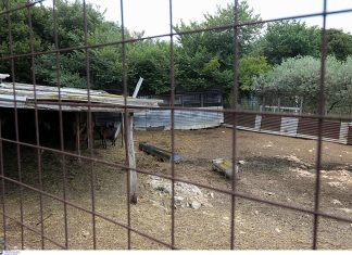 Ηλικιωμένη γυναίκα βρέθηκε νεκρή κοντά σε ποιμνιοστάσιο στο Ποδοχώρι, άγνωστη είναι η αιτία που προκάλεσε τον θάνατο