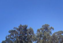 Η Ελ. Χατζηαβραάμ έφτασε «μία ανάσα» από τον τελικό αγώνα των διπλών στην Ισπανία