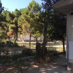 Τι απάντησε ο Δημ. Καιρίδης στο αίτημα να απομακρυνθεί η δομή φιλοξενίας των μεταναστών από το Περιγιάλι;