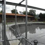 Επισκέπτονται οργανωμένες ομάδες τουριστών κρουαζιέρας τα λασπόλουτρα στις Κρηνίδες;