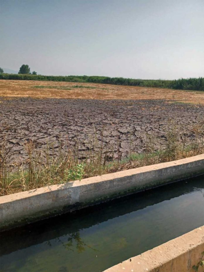 erateino-molinsi-nerou