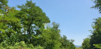 Αυξήθηκε η πίστωση για ασφαλτοστρώσεις στο οδικό δίκτυο του Νομού Καβάλας