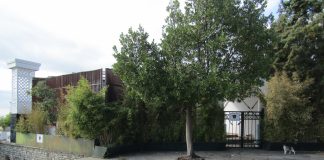 Εγκαταλείφθηκε το κατάστημα στο πάρκο Φαλήρου και έγινε, τι άλλο(;), σκουπιδότοπος!