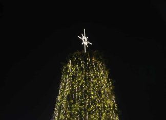 Το μεγάλο δέντρο φωτίστηκε!