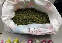 Κατασχέθηκαν πάνω από ενάμιση κιλό κλώνων κάνναβης, ποσότητα ακατέργαστης κάνναβης και μία ζυγαριά ακριβείας