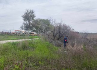 Περιφέρεια Ανατολικής Μακεδονίας-Θράκης: Εντοπίστηκαν εστίες προνυμφών κουνουπιών και άρχισαν οι τοπικοί (επίγειοι) ψεκασμοί