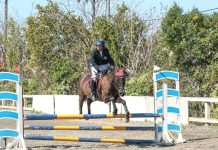 Η Ακαδημία της Κ. Κατσίτη κατέκτησε κονκάρδες με άπταιστες διαδρομές στους αγώνες υπερπήδησης εμποδίων στην Θέρμη Θεσσαλονίκης