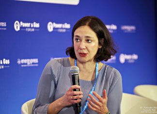 Πρόβλημα η γραφειοκρατία στην πρόοδο της επένδυσης στον «Πρίνο»