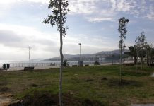 Ο Ο.Λ.Κ. να σταματήσει να “λιγουρεύεται” τον θαλάσσιο χώρο μπροστά από το ανοιχτό κολυμβητήριο και το πάρκο Φαλήρου