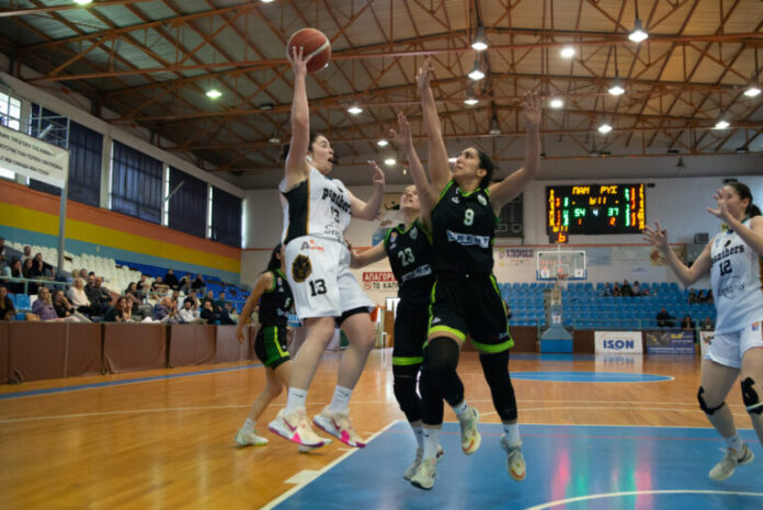 πάνθηρες-ρύσιο1