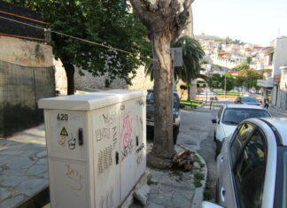 «Έδεσαν» το κατάξερο δέντρο με σχοινί «μπουγάδας»!