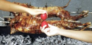 Η Ελλάδα έγινε το “τραπέζι της αγάπης”!