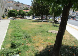 Φυτέψτε κι άλλα δέντρα στην πλατεία Νικοτσάρα!