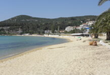 Θα λογοδοτήσουν οι διοικούντες την ΕΤ.Α.Δ. για το χάλι της Καλαμίτσας;