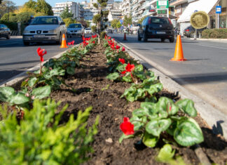 Γιατί γίνεται επαναφύτευση μόνο στο ίδιο τμήμα της οδού Ερυθρού Σταυρού;
