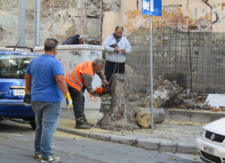 Ο επικίνδυνος κορμός δέντρου κόπηκε