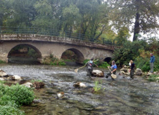 Ιχνηλατώντας την απειλούμενη βιοποικιλότητα στον τυρφώνα των τεναγών Φιλίππων