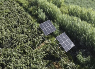 Στην Χρυσούπολη η πρώτη ημερίδα στην Ελλάδα, για την ηλιακή άντληση νερού στις δεντροκαλλιέργειες