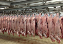 Ένα σφαγείο πρέπει να γίνει στην Θάσο. Και δεύτερο για τους Δήμους Καβάλας, Παγγαίου, Νέστου