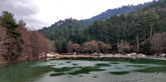 Βροχές θα έχει στην Θάσο. Φράγματα υπάρχουν, για να μαζεύουν το βρόχινο νερό;