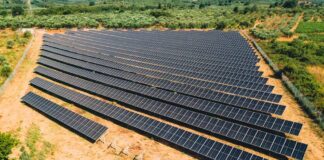 Να «κρατήσεις μικρό καλάθι», Θίοντορ καρντάσι, για το φωτοβολταϊκό πάρκο στην Λιμνιά, μετά την αλλαγή στην προεδρία των Η.Π.Α.!