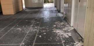 Δεν έχει λεφτόδεντρο, για να κόβει χρήμα, ο Θίοντορ…