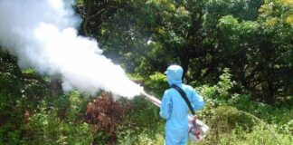 Τα κουνούπια έγιναν ανθεκτικά στον χειμώνα και τον ψεκασμό!