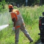 Και για τα κουνούπια η αιτία είναι η κλιματική αλλαγή;