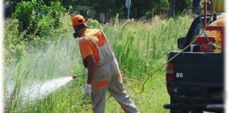 Και για τα κουνούπια η αιτία είναι η κλιματική αλλαγή;