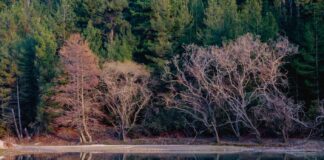 Πως είναι «αυθεντικός νησιωτικός προορισμός» η Θάσος, με ενάμισι εκατομμύριο τουρίστες το καλοκαίρι;