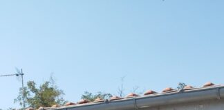 Το μήνυμα της Αγ. Δεληκάρη για την νέα σχολική περίοδο: «Η παροχή μόρφωσης μέσα από το δημόσιο σχολείο, δεν γίνεται με εκπτώσεις και διακρίσεις»