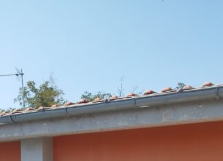 Το μήνυμα της Αγ. Δεληκάρη για την νέα σχολική περίοδο: «Η παροχή μόρφωσης μέσα από το δημόσιο σχολείο, δεν γίνεται με εκπτώσεις και διακρίσεις»