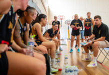 Κύπελλο Ελλάδας: Η μαχητικότητα, η εμπειρία και τα λίγα λάθη, έδωσαν την πρόκριση στους «Πάνθηρες» μέσα στο Πανόραμα!