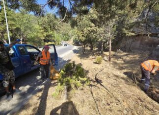 Έγινε αποψίλωση της χαμηλής βλάστησης στην περιμετρική οδό Καβάλας