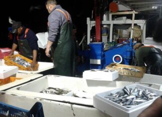 Το επεισόδιο έγινε στην θαλάσσια περιοχή μεταξύ Θάσου-Σαμοθράκης: Ελληνικά αλιευτικά σκάφη δέχτηκαν πυροβολισμούς από τουρκικά αλιευτικά!