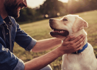 Το Αστυνομικό Τμήμα Παγγαίου ελέγχει τους ιδιοκτήτες ζώων συντροφιάς
