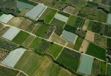 Παρά τα ζητήματα Κ.Α.Ε.Κ.: Διευκρινιστική εγκύκλιος για την πληρωμή αγροτεμαχίων έως 20 στρέμματα