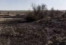 Οι γεωργοί της Π.Ε. Καβάλας που επλήγησαν από τη πυρκαγιά του Αυγούστου 2023, θα λάβουν προκαταβολή έναντι επιχορήγησης γεωργικών εκμεταλλεύσεων