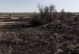 Οι γεωργοί της Π.Ε. Καβάλας που επλήγησαν από τη πυρκαγιά του Αυγούστου 2023, θα λάβουν προκαταβολή έναντι επιχορήγησης γεωργικών εκμεταλλεύσεων