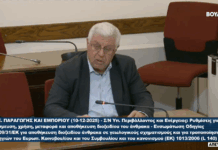 Ποιον θα εμπιστευτείς, Γιάννη Πασχαλίδη, για να ψηφίσεις το έργο στον «Πρίνο»;