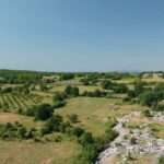 Το «Πρωτοχρονιάτικο ψέμα» του Θίοντορ