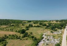 Το «Πρωτοχρονιάτικο ψέμα» του Θίοντορ