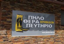 Τα τρία «σενάρια» λειτουργίας του πηλοθεραπευτηρίου στις Κρηνίδες